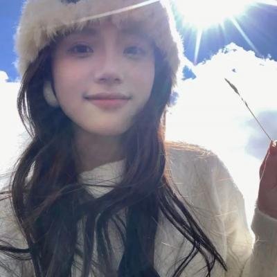 珍禽假意海报