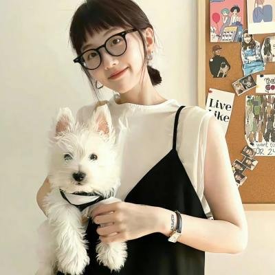 坠：波音大调查海报